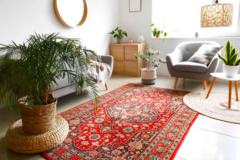 Tapis rouge à motifs installé dans un salon lumineux